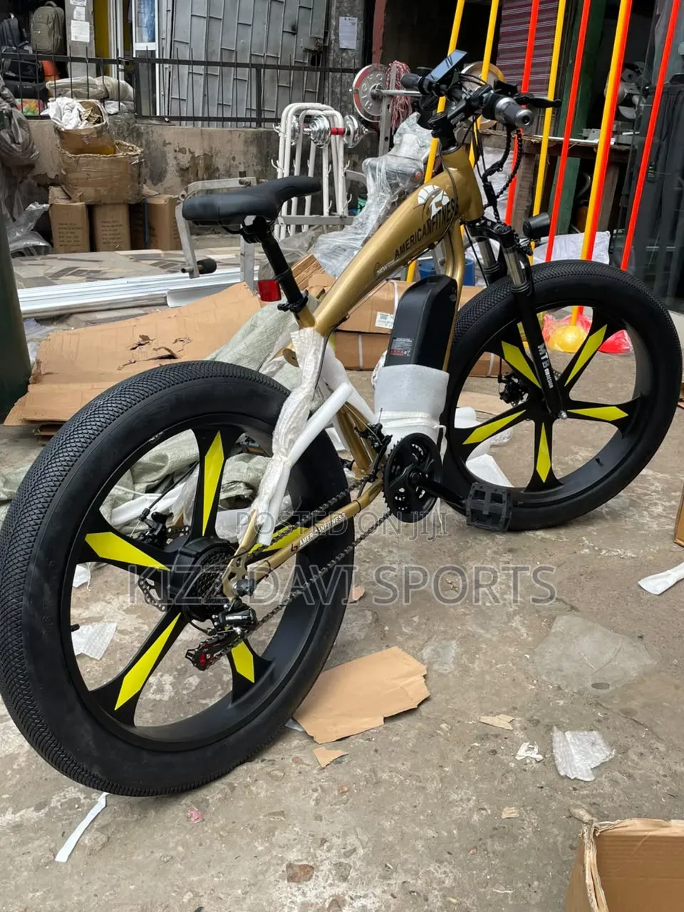 Electric Bicycle American Fitness Quality