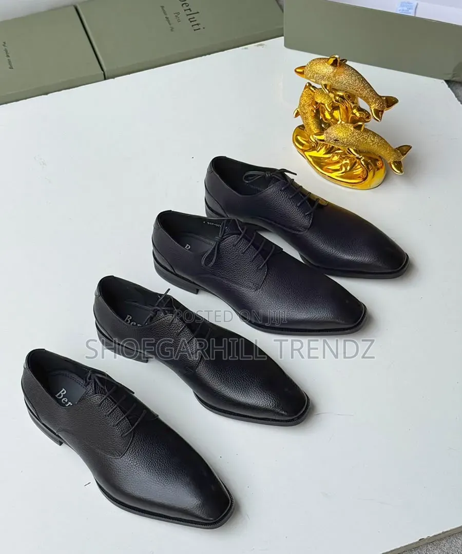 Berluti Pointed Toe Oxford Shoes for Men – Luxury Corporate Wear