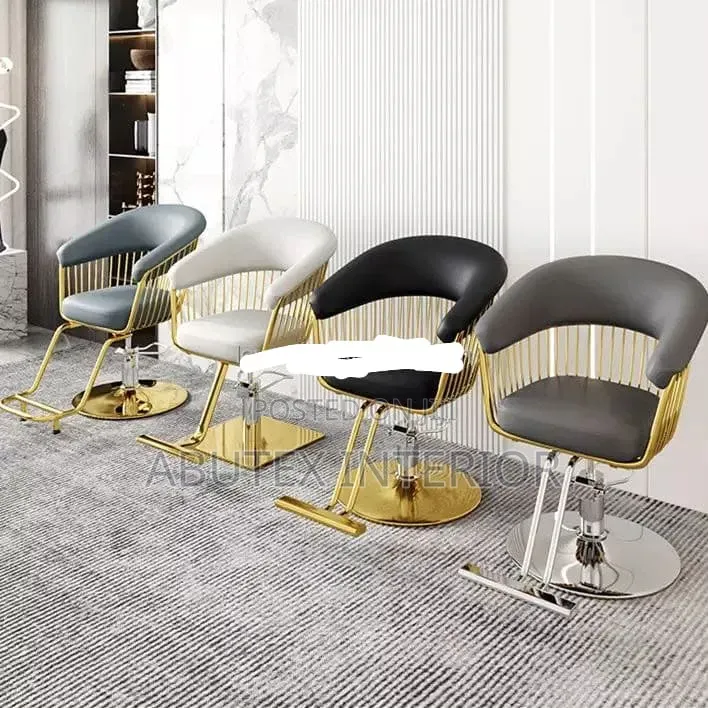 Quality Luxury Lucrative Designed Saloon Chair
