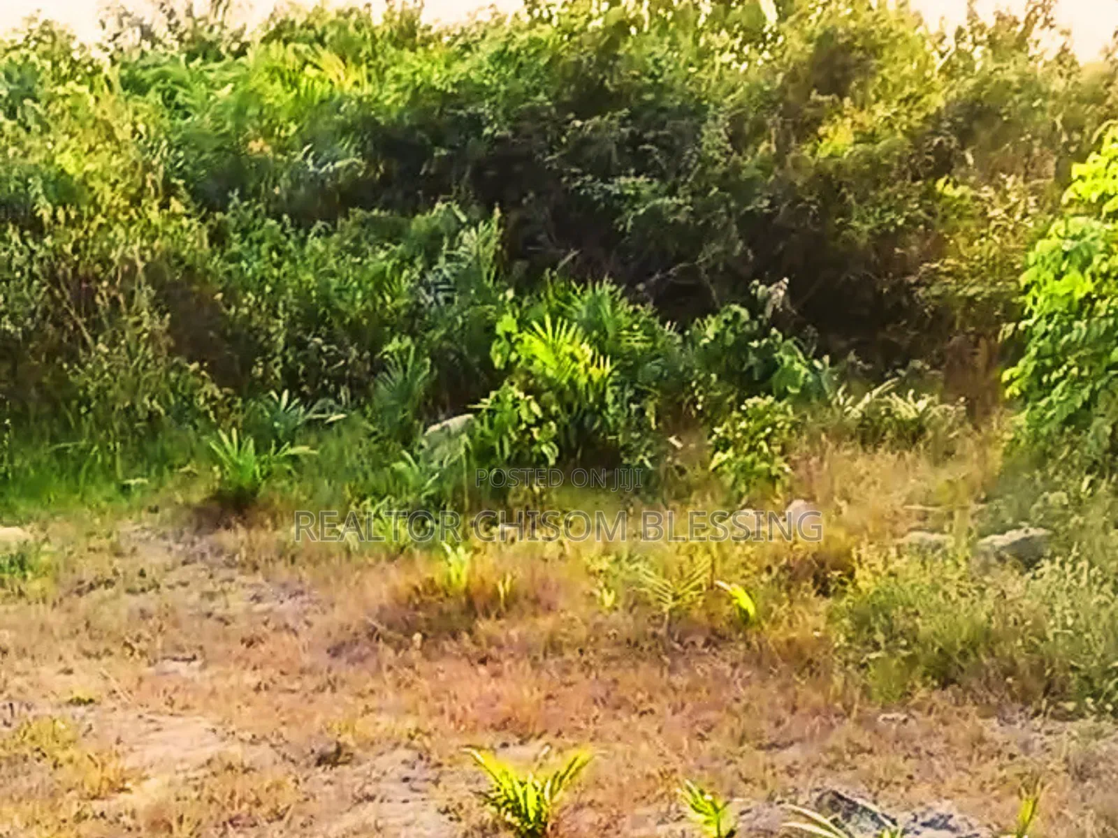 Hot Prime Plot of Land (450sqm) Along Major Road in Mgbarakuma - ₦10m