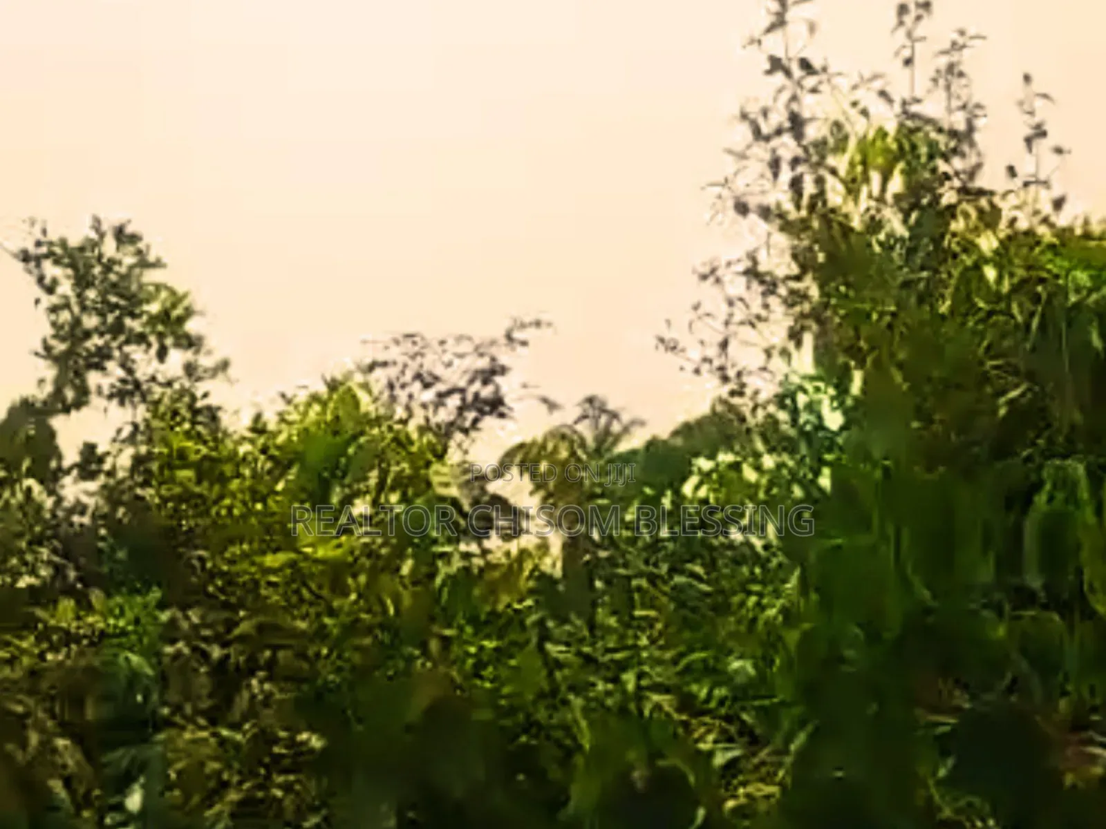 Hot Prime Plot of Land (450sqm) Along Major Road in Mgbarakuma - ₦10m