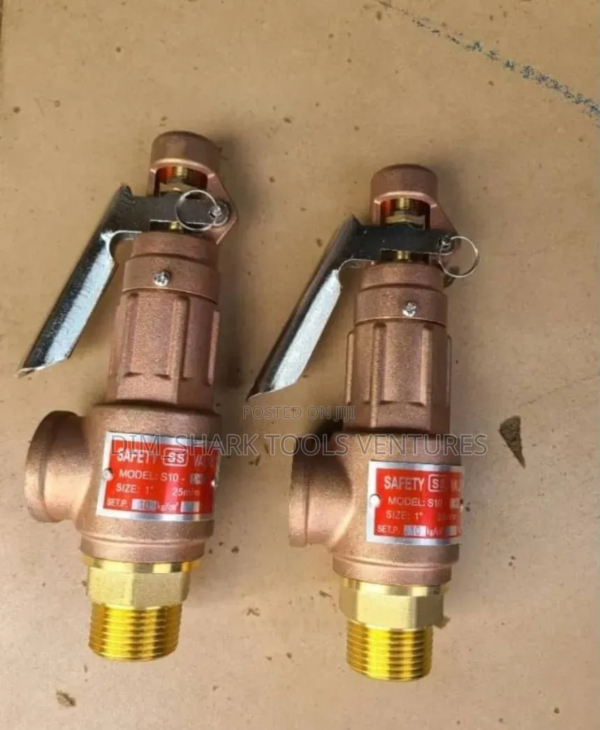 1"inch(25mm)S10 Model Safety Relief Valve