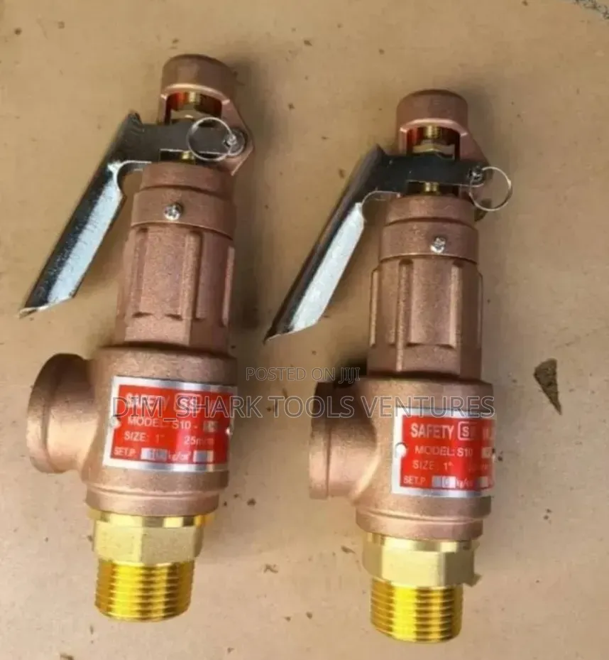1"inch(25mm)S10 Model Safety Relief Valve