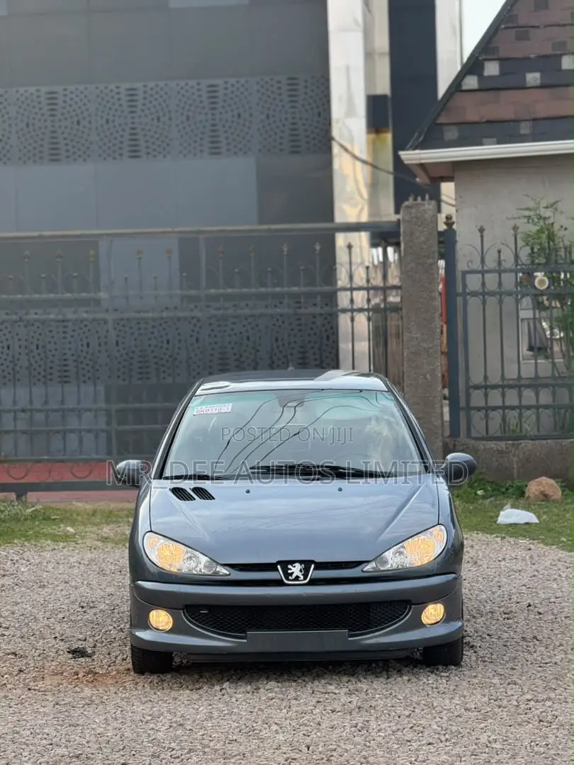 Peugeot 206 2006 Gray