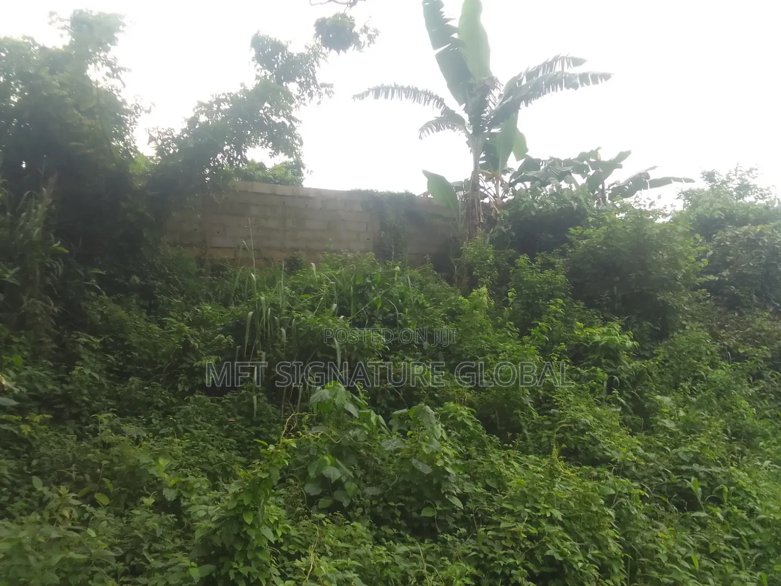 Very Suitable Land for Farming or Students Hostel. 2plots