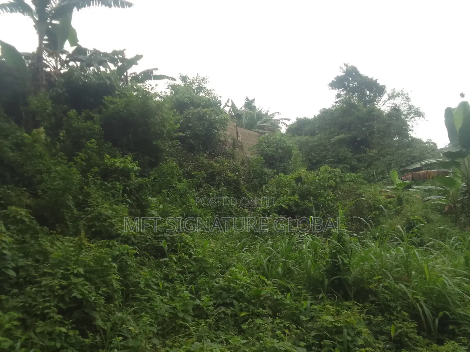 Very Suitable Land for Farming or Students Hostel. 2plots