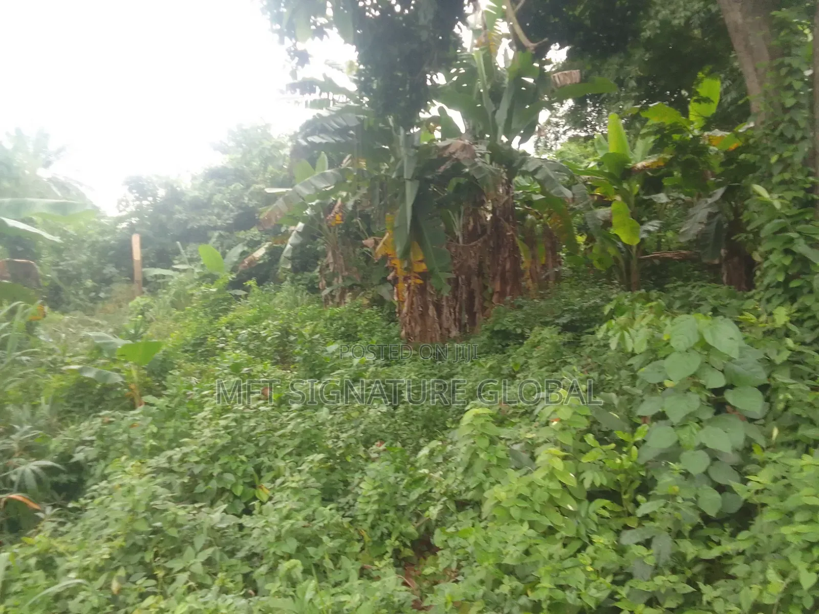 Very Suitable Land for Farming or Students Hostel. 2plots