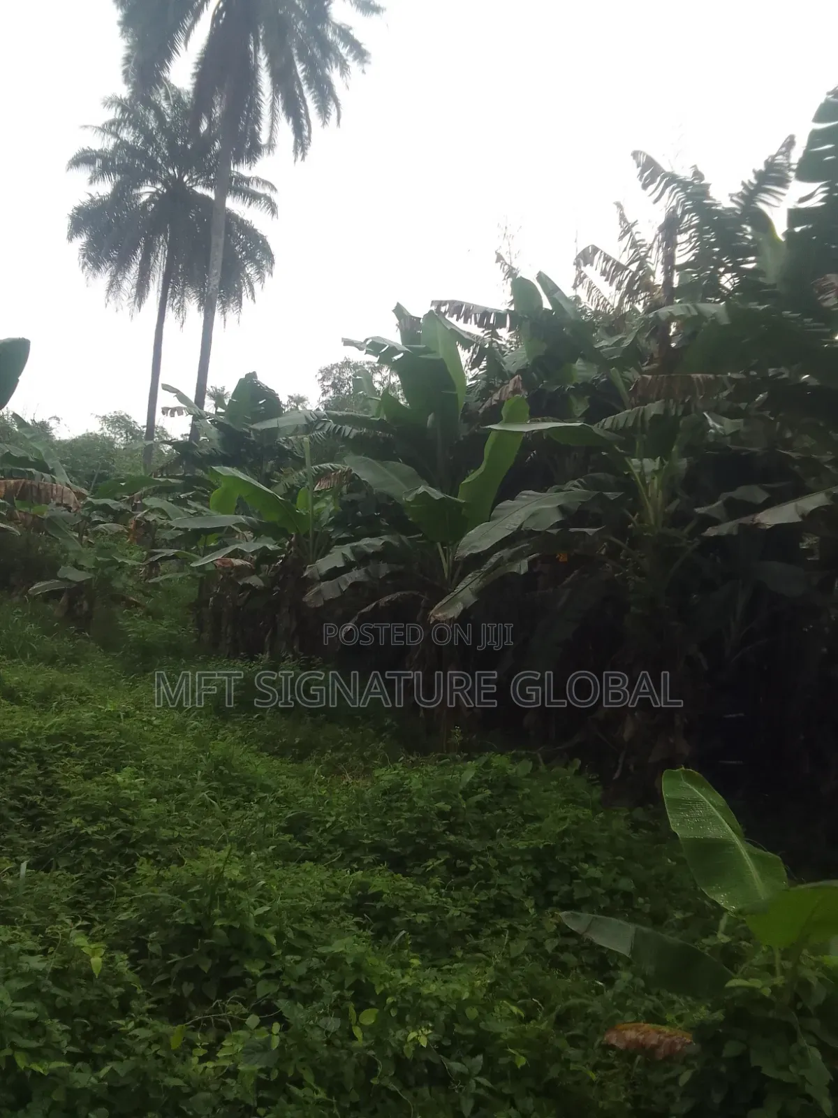 Very Suitable Land for Farming or Students Hostel. 2plots