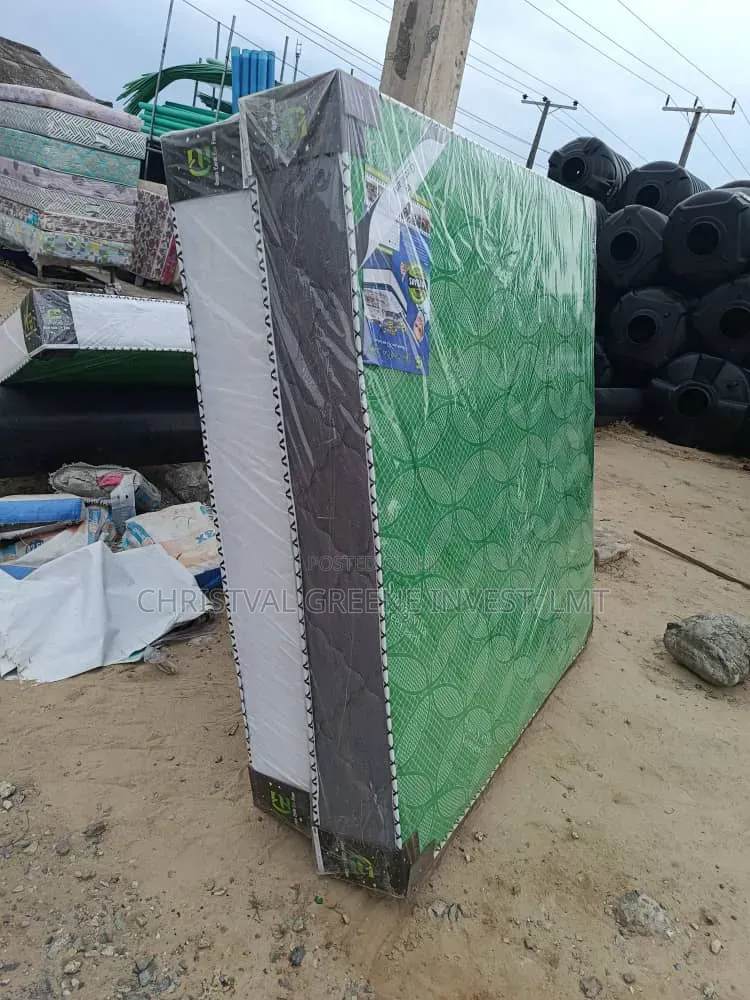 6x6x10 Inches Green Earth (Orthopedic)