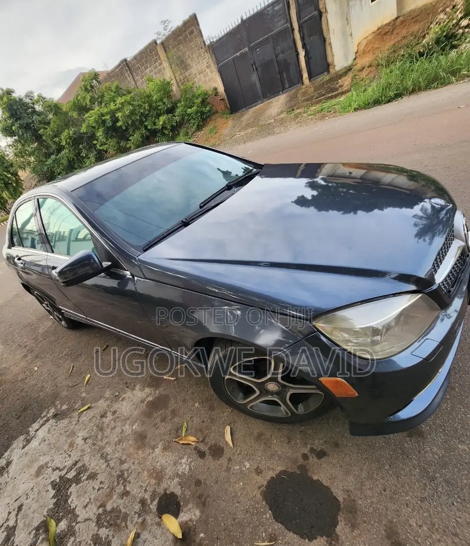 Mercedes-Benz C300 2010 Blue