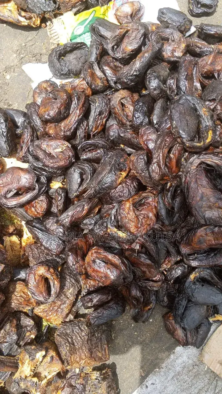Asa, Mangala and Catfish in Wholesale, Cartons and Portions For