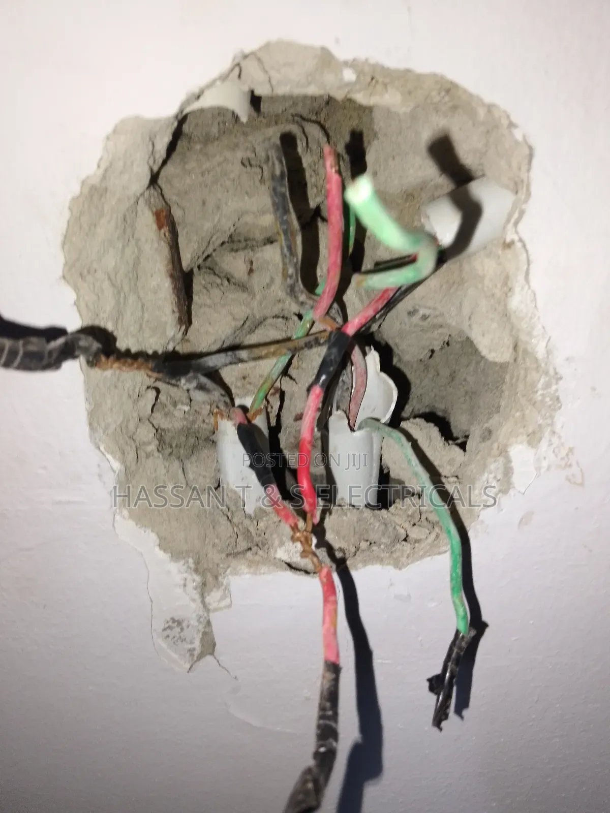 Professional Electrician