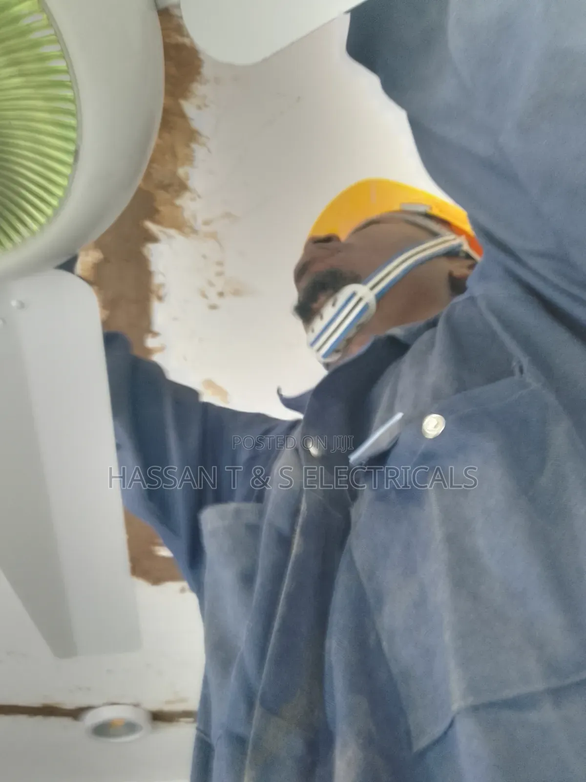 Professional Electrician