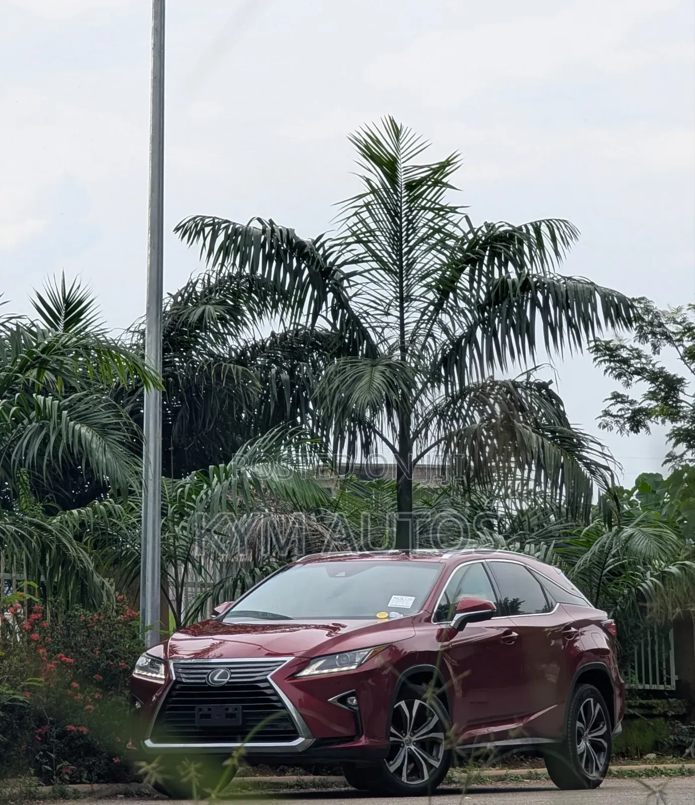 Lexus RX 2016 Red