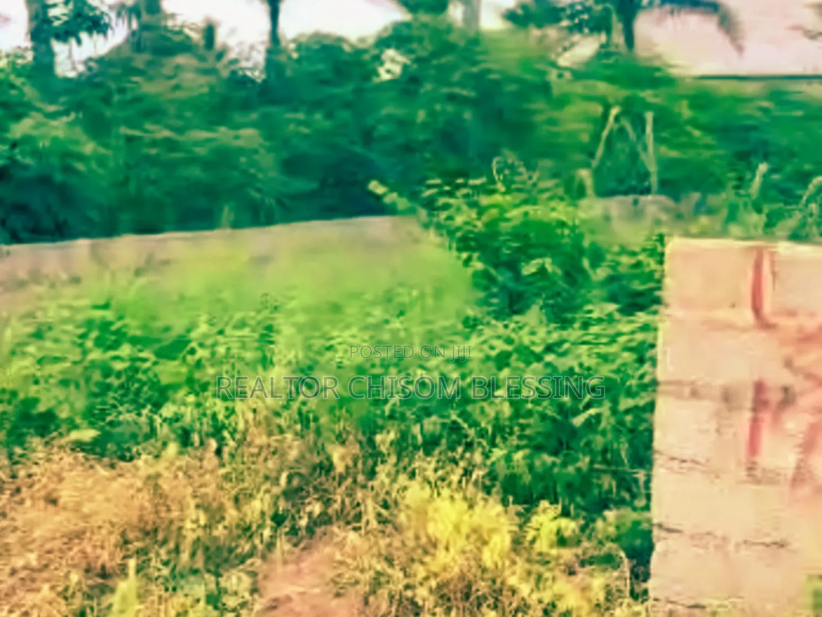 URGENT SALE: Prime 1 Full Plot in Lodu Estate, Umuahia!