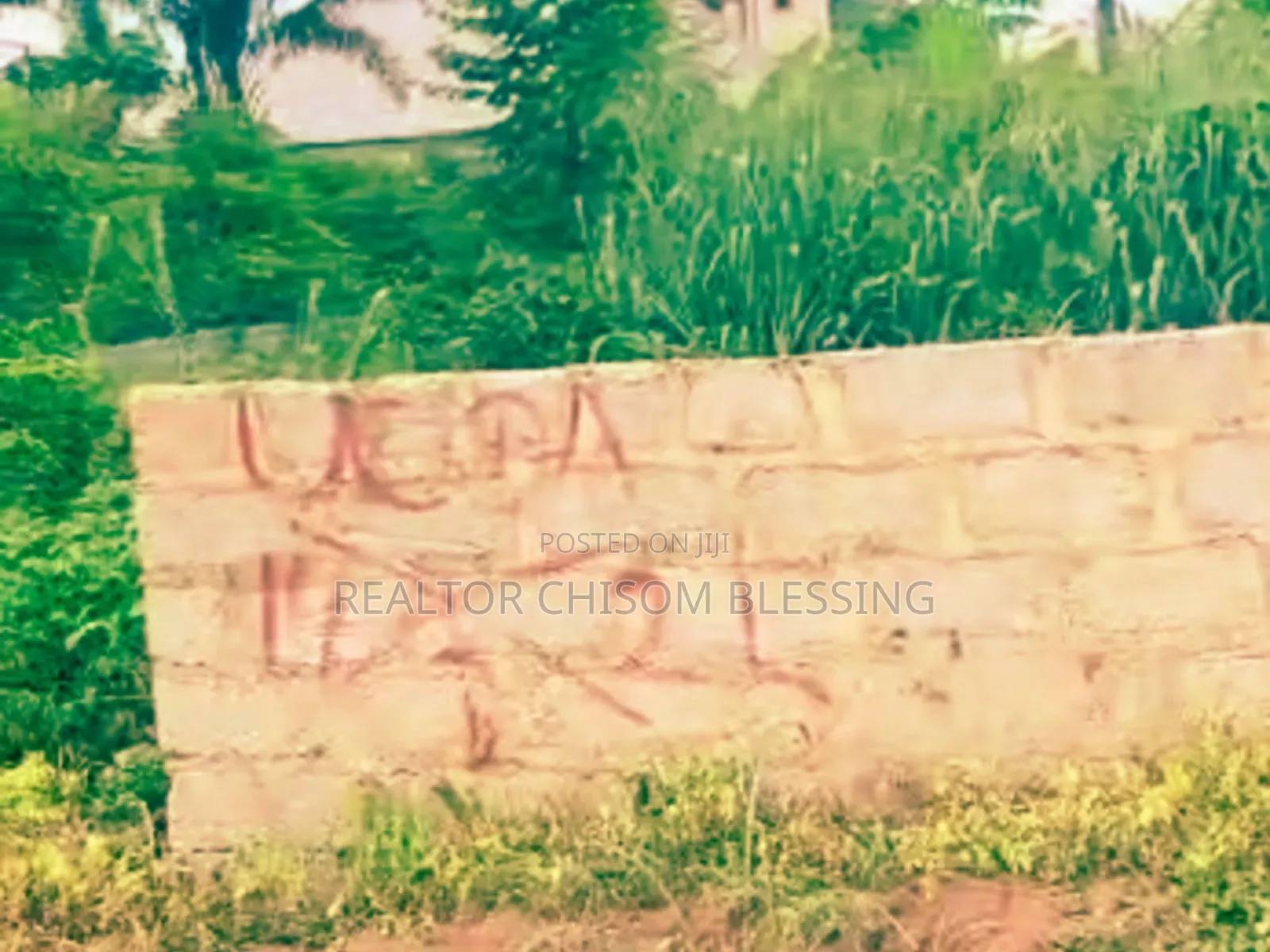 URGENT SALE: Prime 1 Full Plot in Lodu Estate, Umuahia!