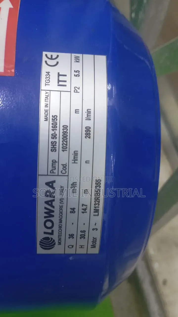 Original Lowara Pump