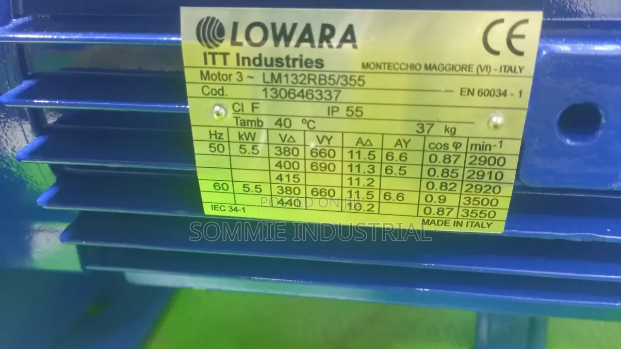 Original Lowara Pump