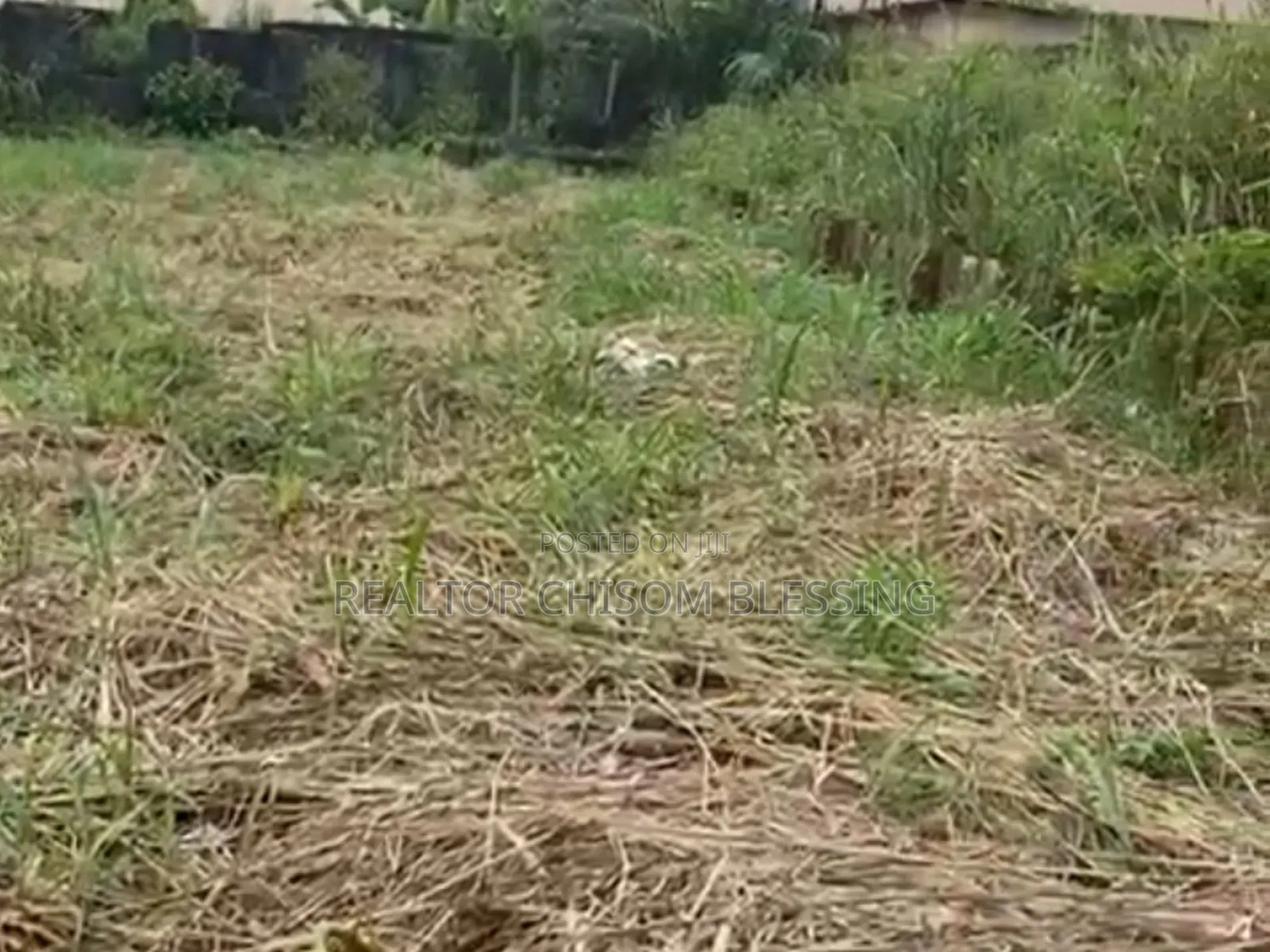 Prime Standard Two Plots for Sale at New Road Afara Umuahia