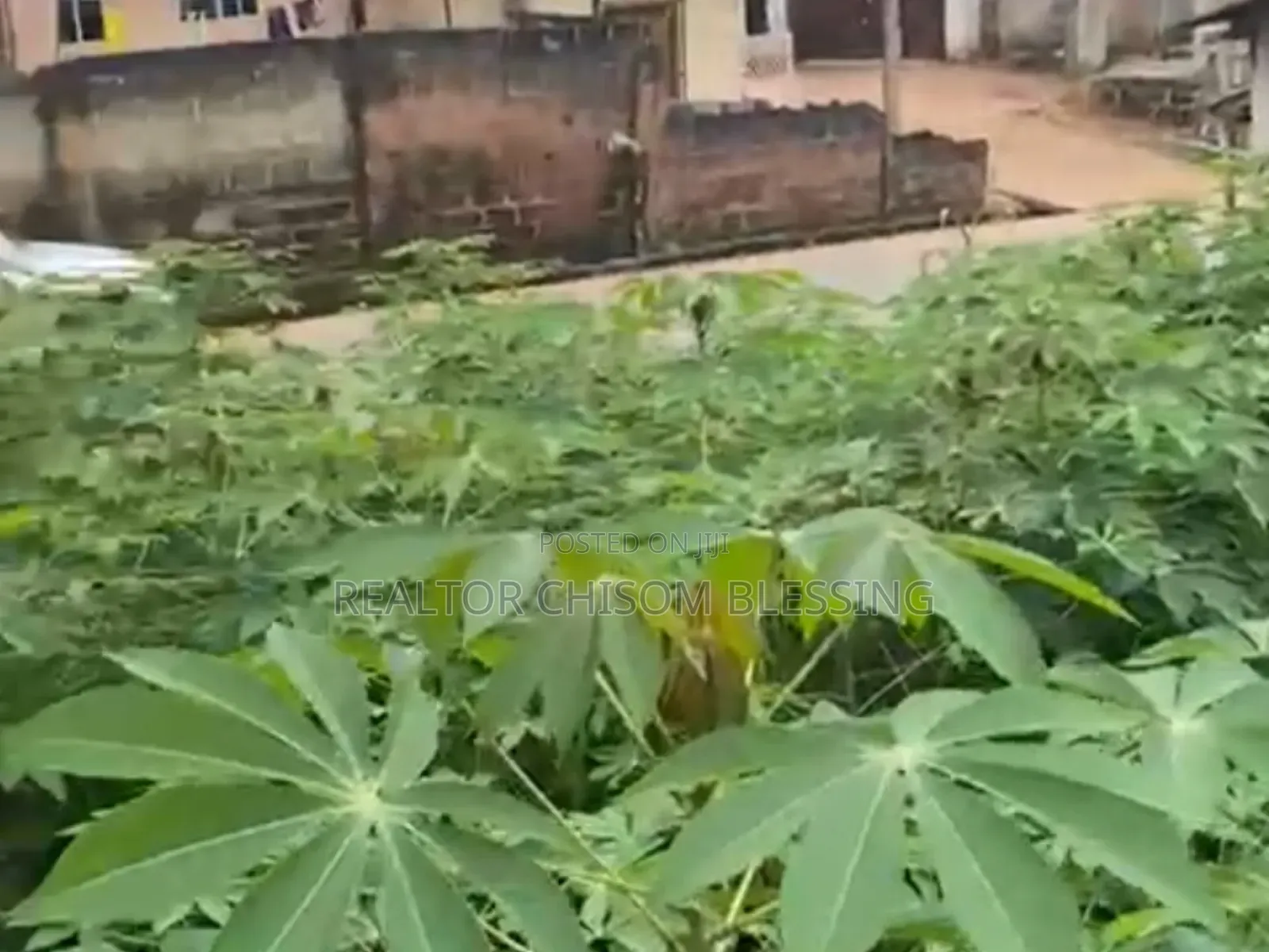Prime Standard Two Plots for Sale at New Road Afara Umuahia