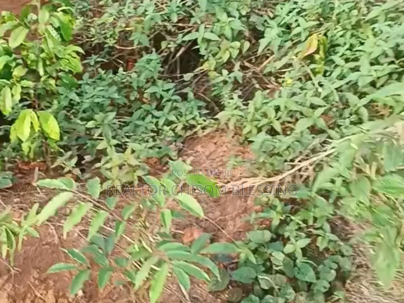 456sqm Land for Sale at Amuba Housing Estate, Umuahia