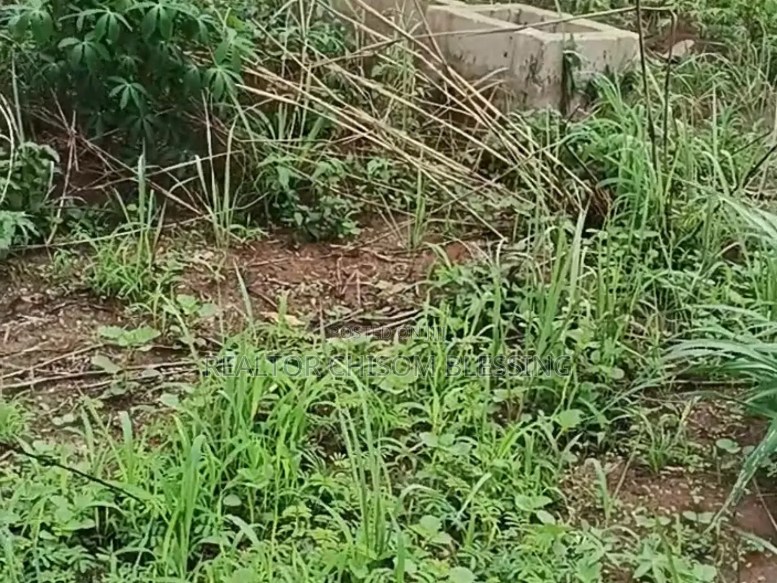 Hot Deal: 500sqm Prime Land in Amuba Housing Estate, Umuahia