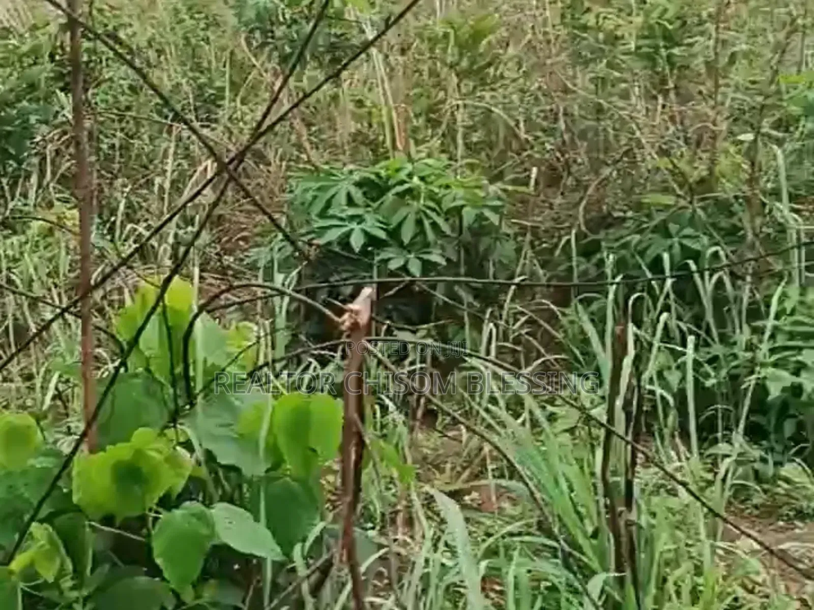 Hot Deal: 500sqm Prime Land in Amuba Housing Estate, Umuahia
