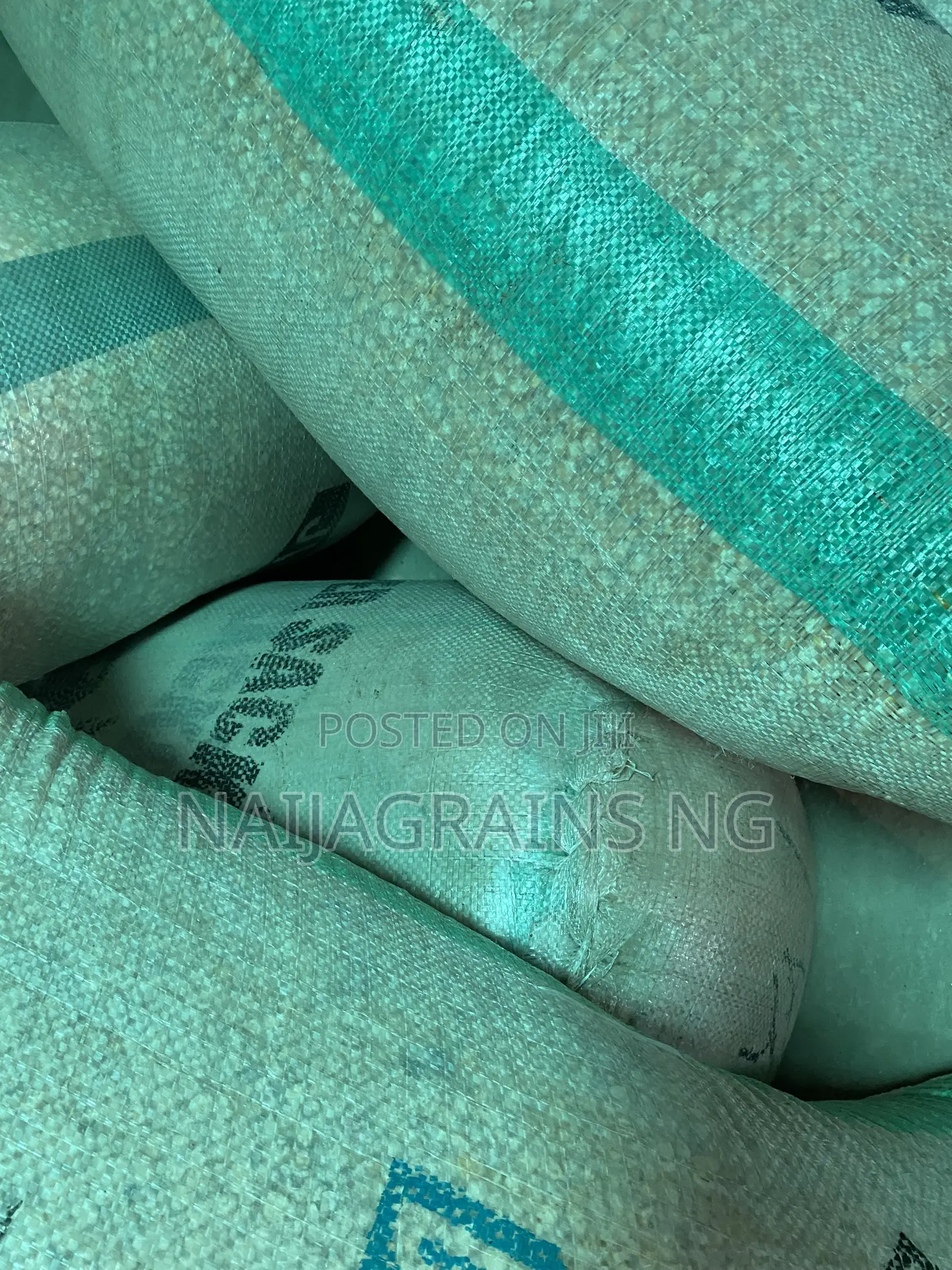 Premium Yellow Maize for Sale | Wholesale Retail Supplier