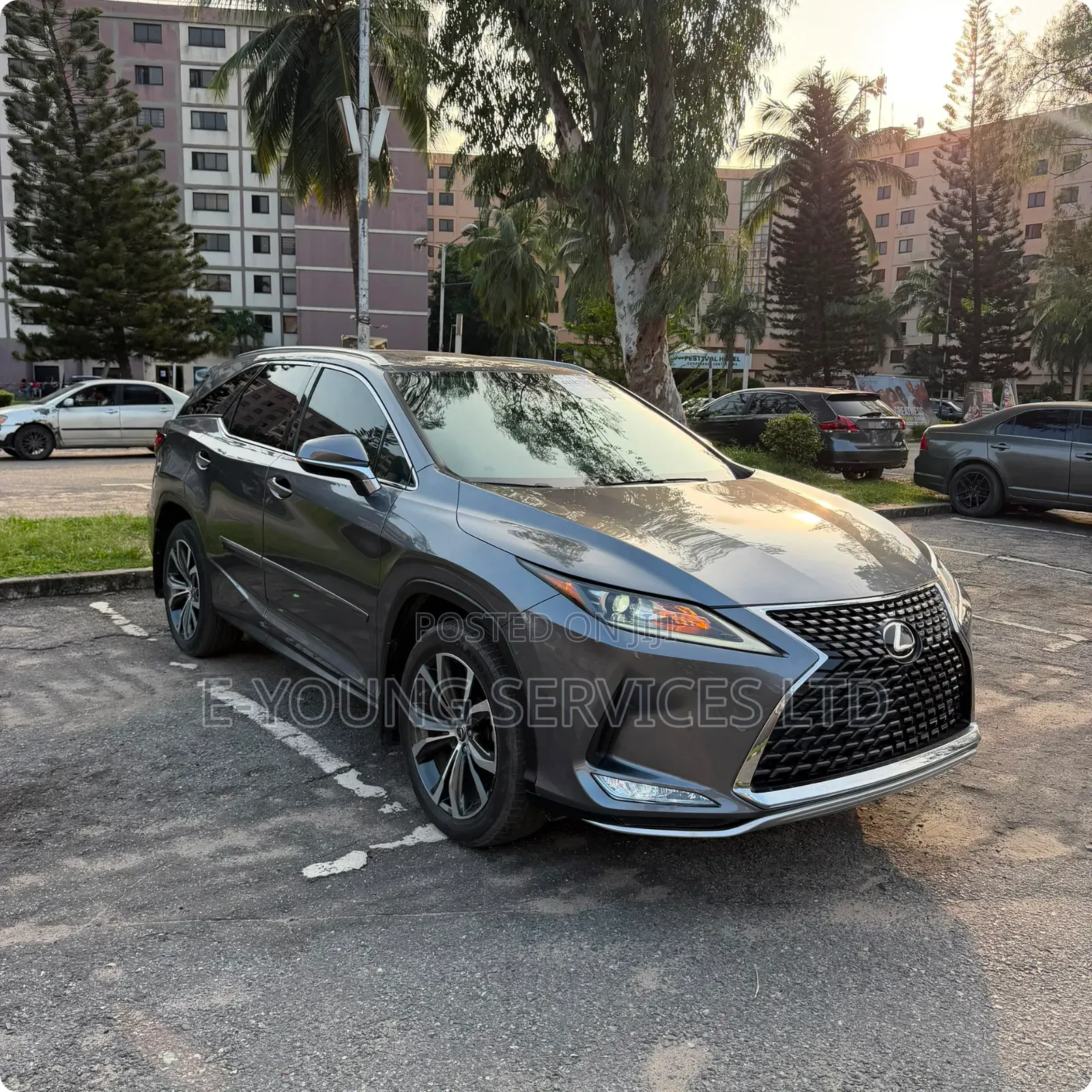Lexus RX 2021 Gray
