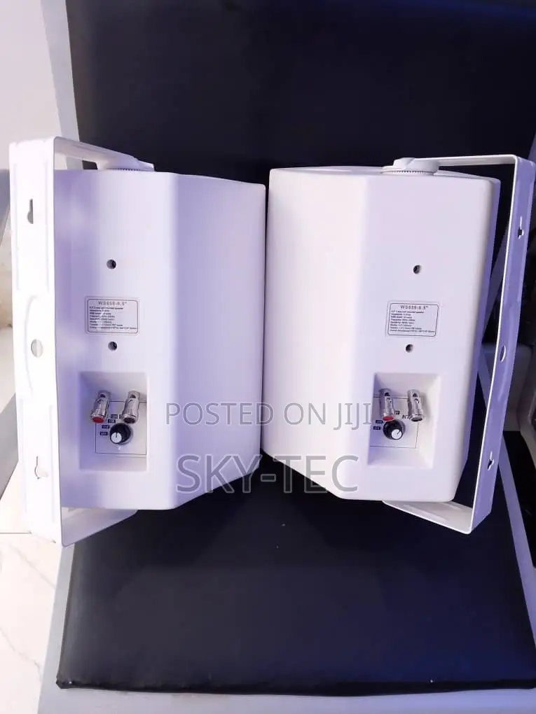 Sky-Tec 40watts Hanging Indoor and Outdoor Big Magnet Passive Speaker