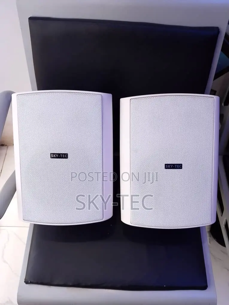 Sky-Tec 40watts Hanging Indoor and Outdoor Big Magnet Passive Speaker