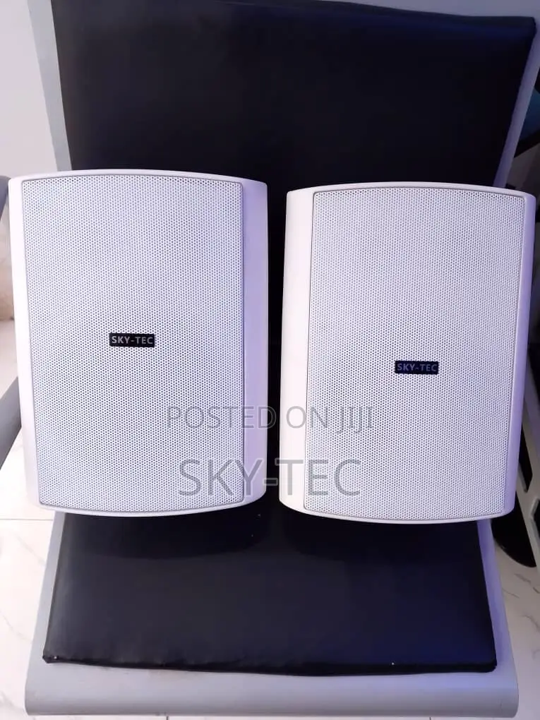 Sky-Tec 40watts Hanging Indoor and Outdoor Big Magnet Passive Speaker