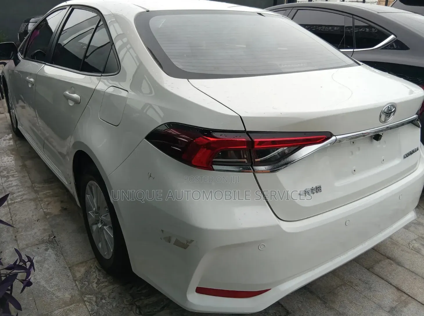 Toyota Corolla LE 2023 White
