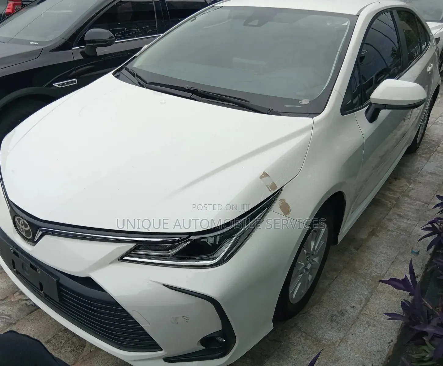 Toyota Corolla LE 2023 White