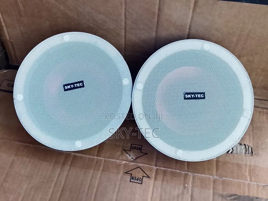 Sky-Tec 20watts Active Passive 2 in 1 Bluetooth Ceiling Speaker
