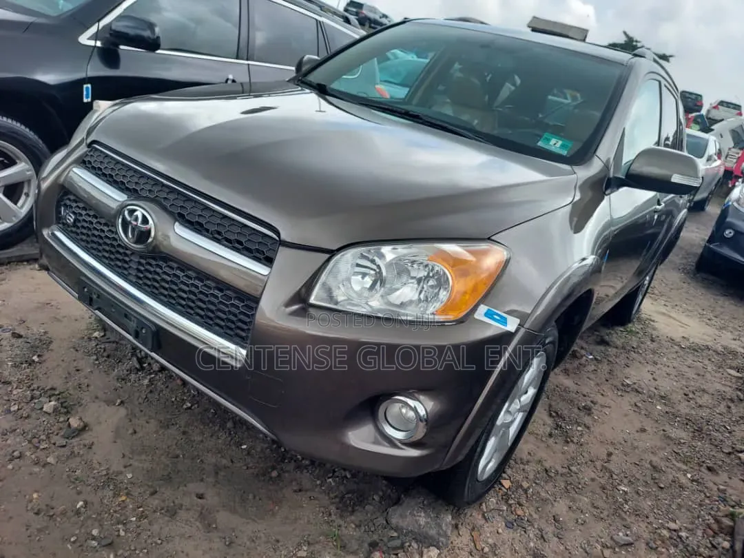 Toyota RAV4 2010 Gray