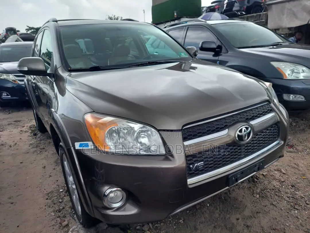 Toyota RAV4 2010 Gray