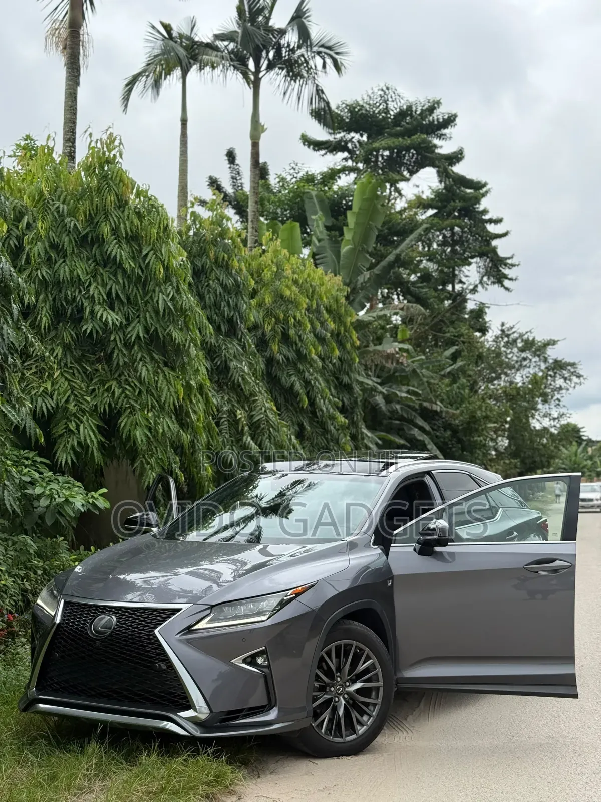 Lexus RX 2018 Gray