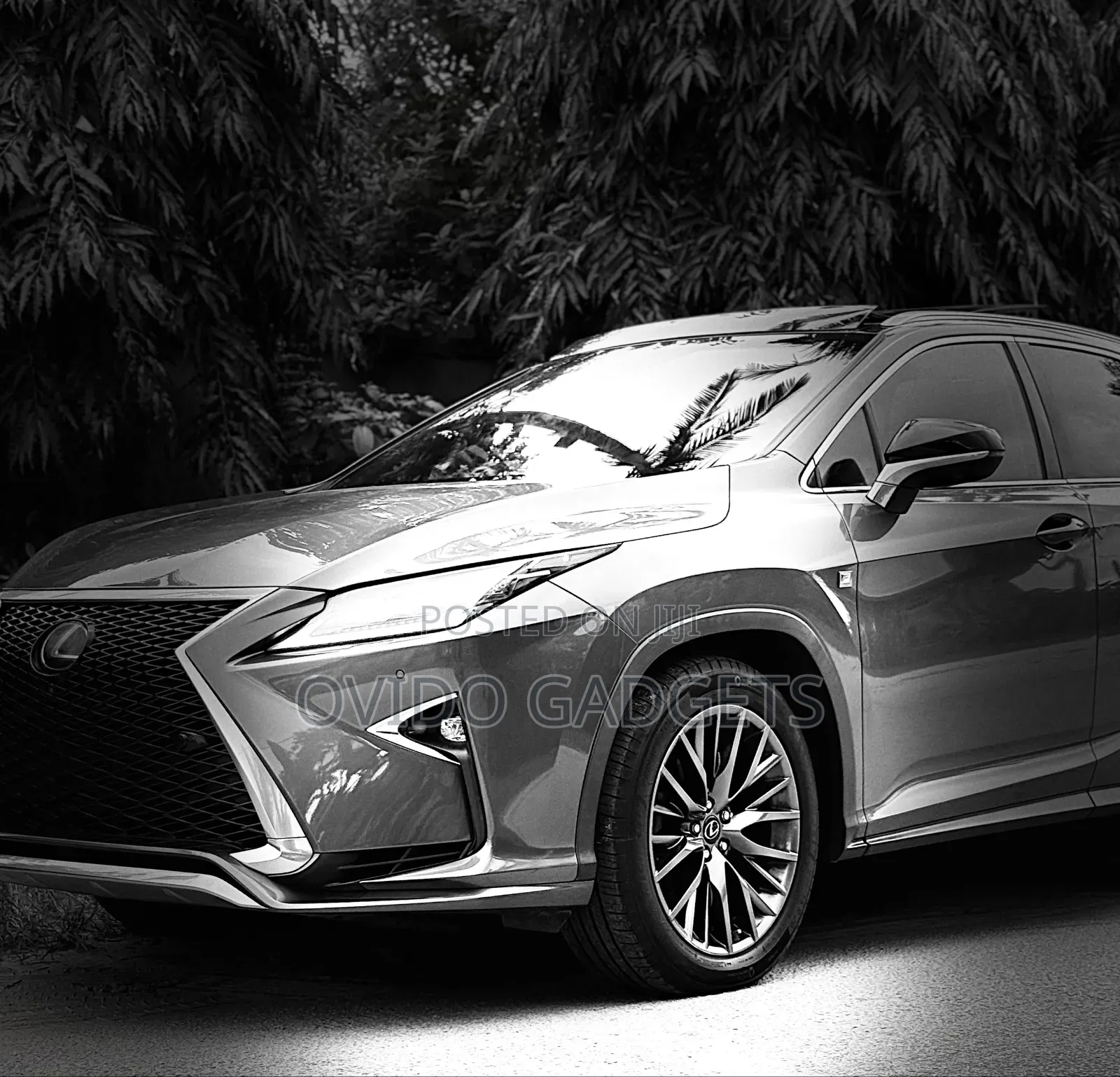 Lexus RX 2018 Gray
