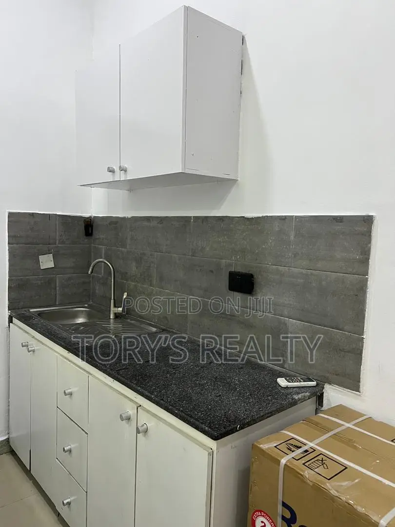 Furnished Studio Apartment in Victoria Island Extension for rent