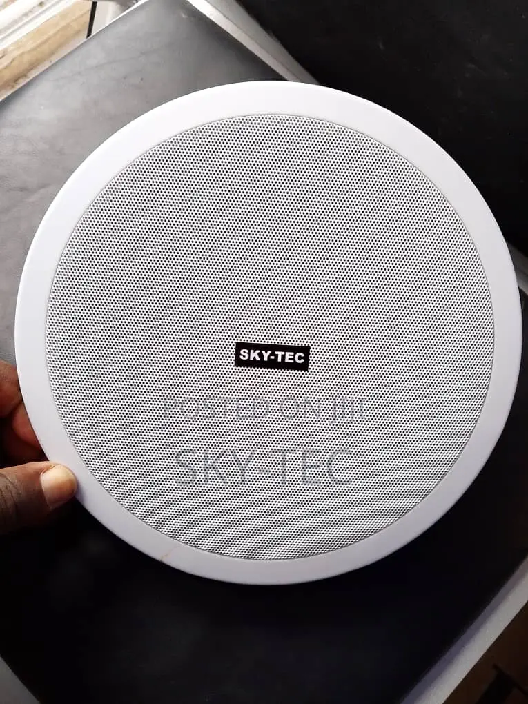 Sky-Tec 30watts Passive 8inches Ceiling Speaker Magnet