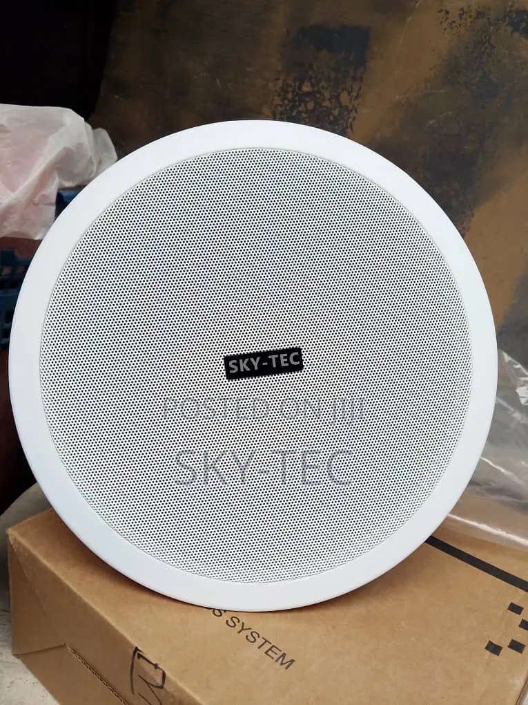 Sky-Tec 30watts Passive 8inches Ceiling Speaker Magnet