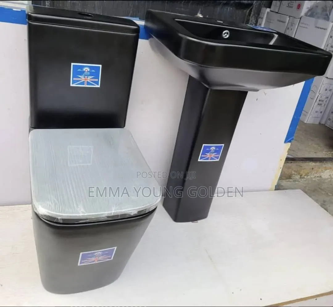 Mat Black Executive WC With Washing Hand Basin