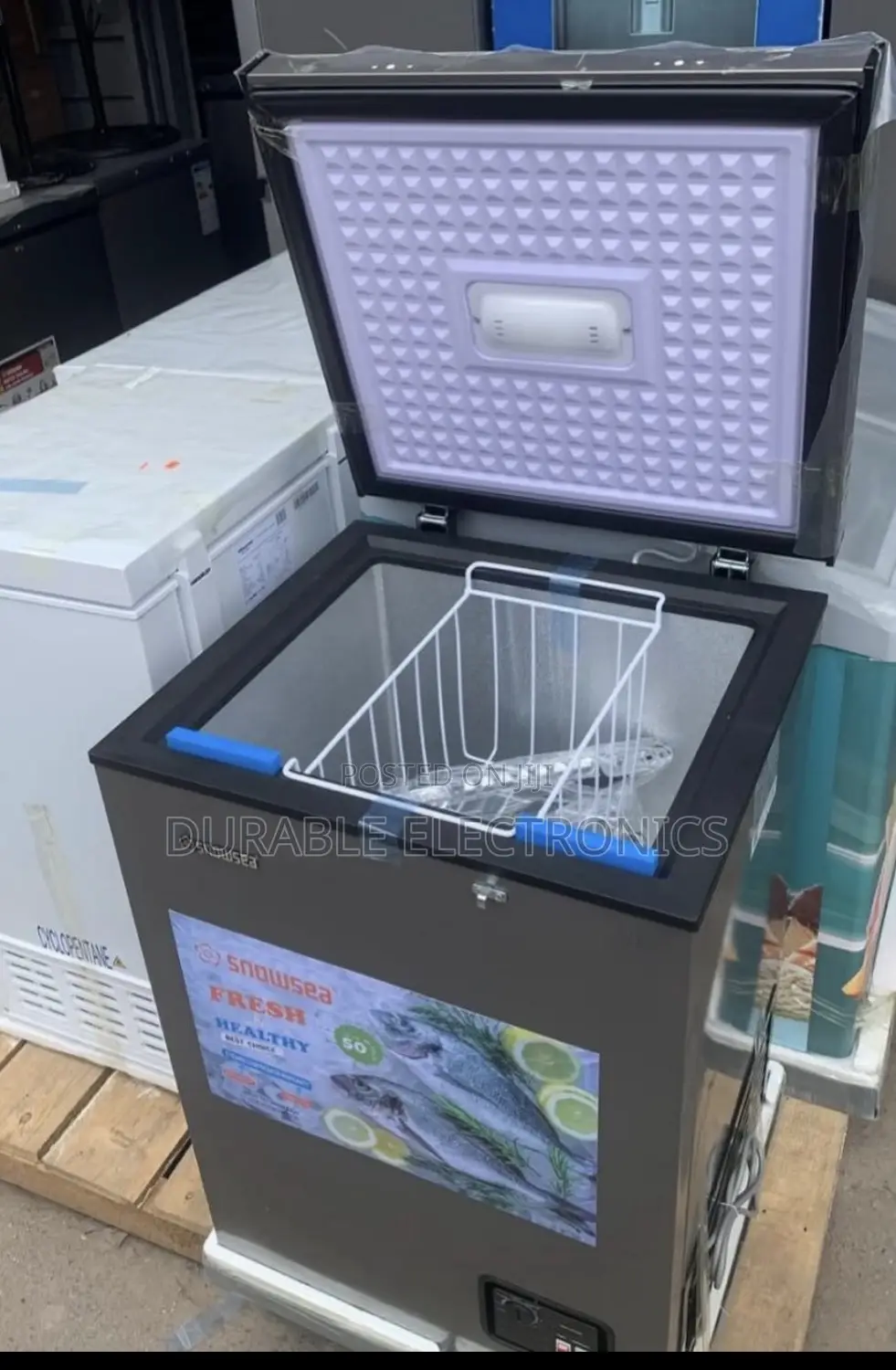 Snowsea Freezer 100L