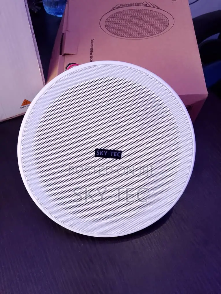 Sky-Tec 10watts Passive 6.5inches Frameless Ceiling Speaker