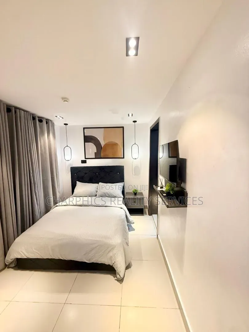 Furnished Mini Flat in Ikoyi S.W for rent