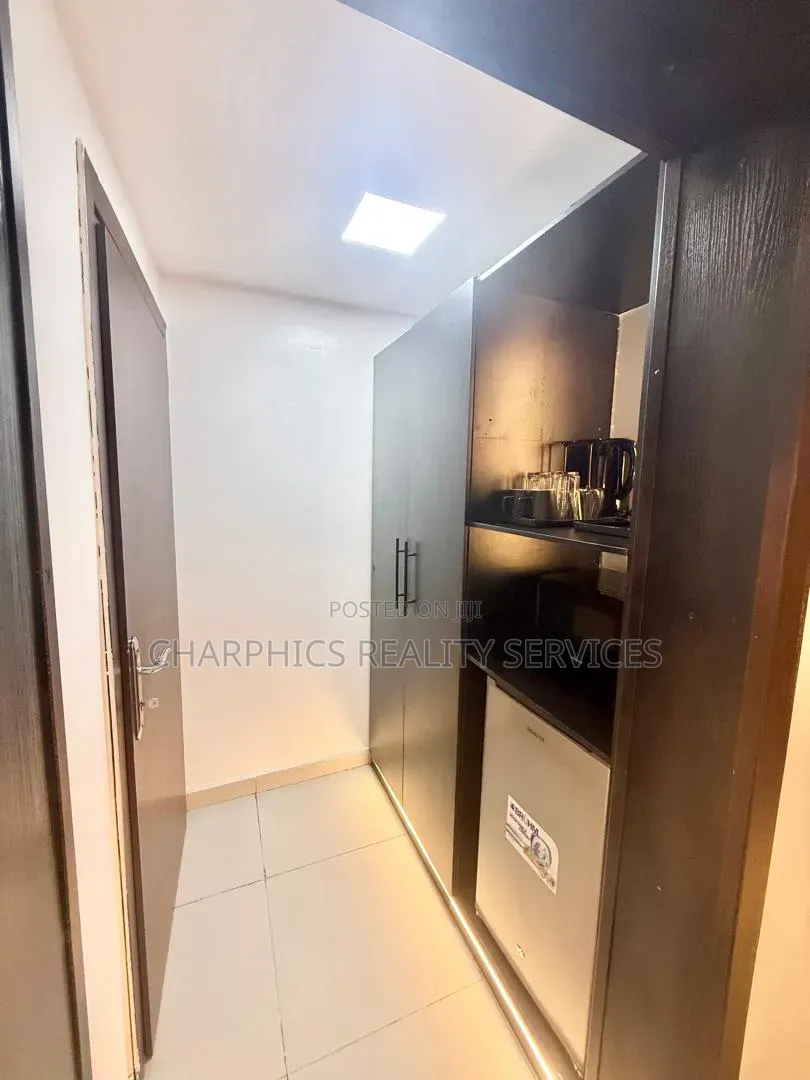 Furnished Mini Flat in Ikoyi S.W for rent