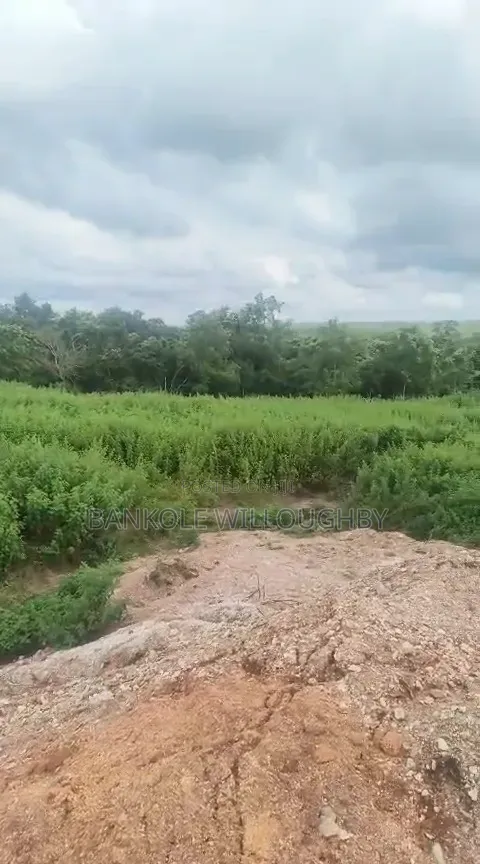 250 Acres Mining Land With Gold for Sale – ₦11.5B Asking