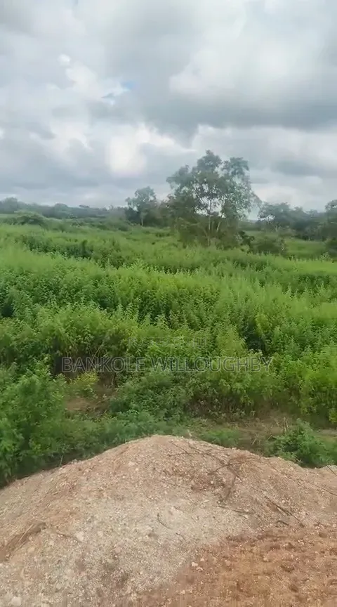 250 Acres Mining Land With Gold for Sale – ₦11.5B Asking