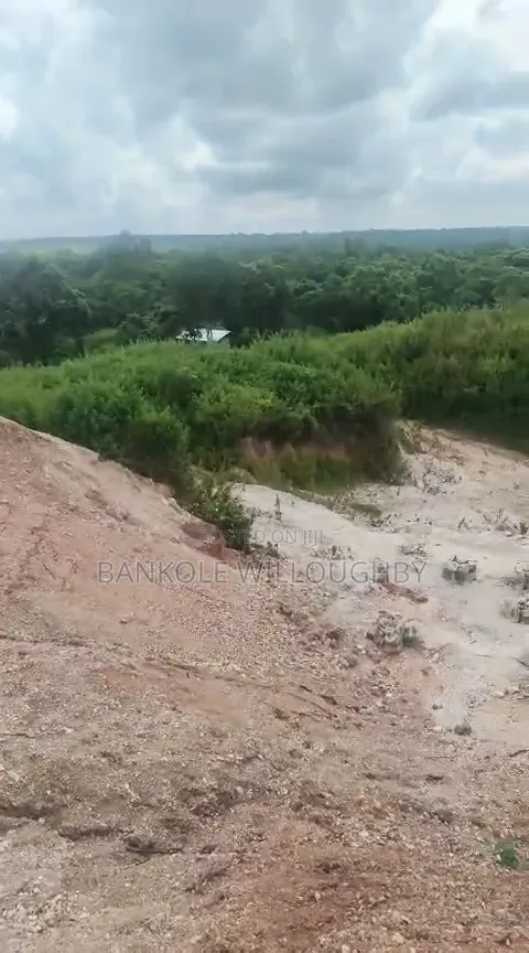 250 Acres Mining Land With Gold for Sale – ₦11.5B Asking